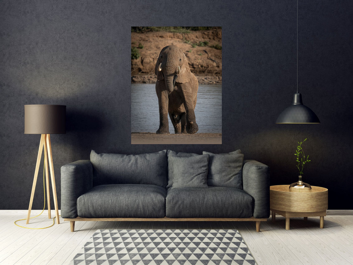 ELEFANTE AL FIUME